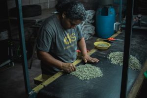 FOTOGRAFÍAS FOTOGRAFÍAS
